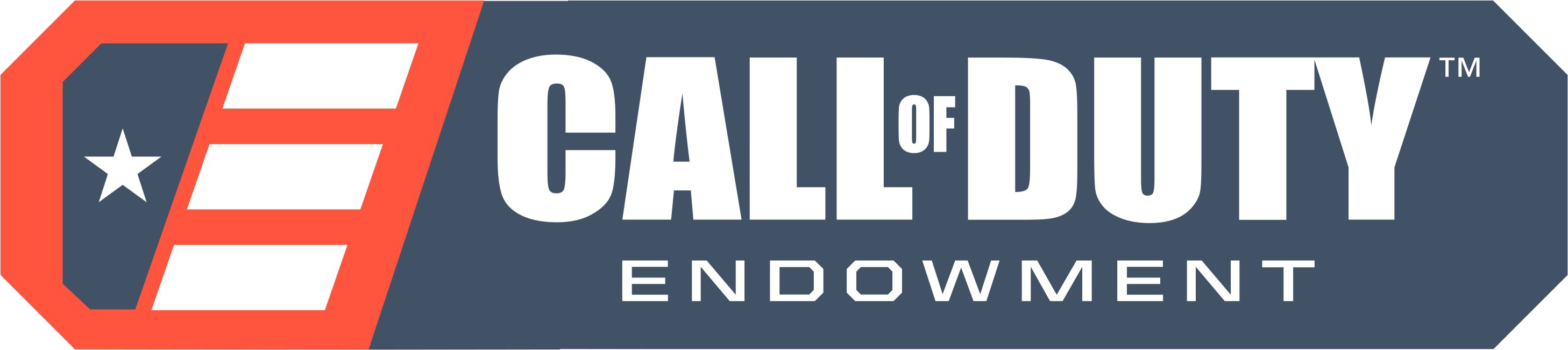 call of duty endowment banner