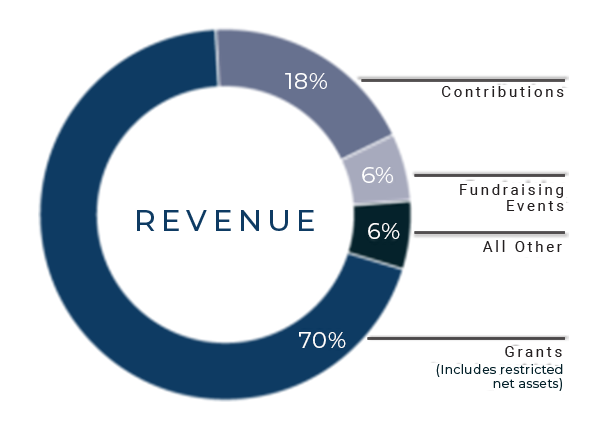 pie chart displaying revenue with 70% grants, 18% contributions, 6% fundraising, and 6% others