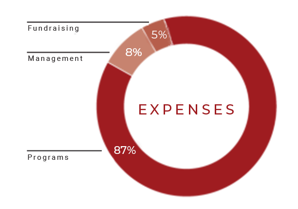 expenses pie chart showing 80% for programs, 8% for management, and 5% for fundraising